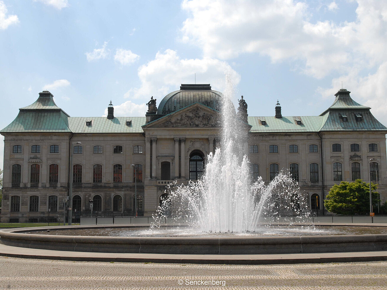 Staatliches Museum für Tierkunde Staatliches Museum für Tierkunde