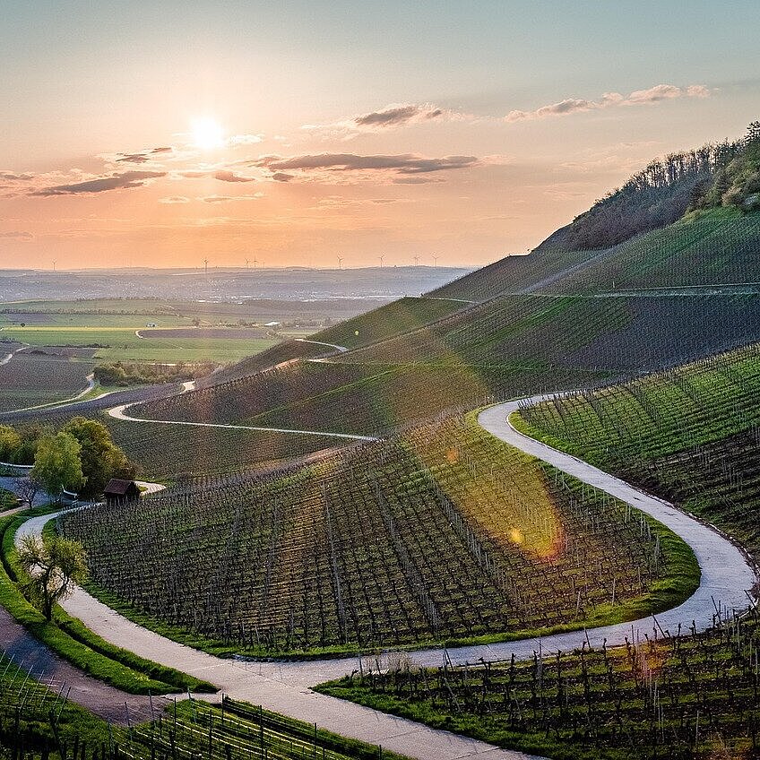Geschwungene Straße durch Weinberge bei Würzburg mit Blick ins Maintal bei Sonnenuntergang.