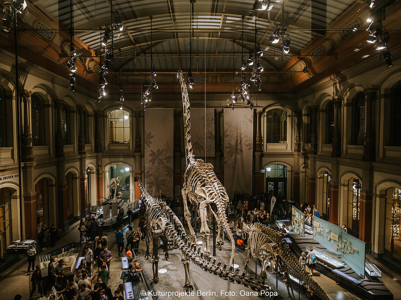 Naturkundemuseum Berlin