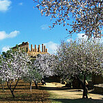 "Tal der Tempel" von Agrigento