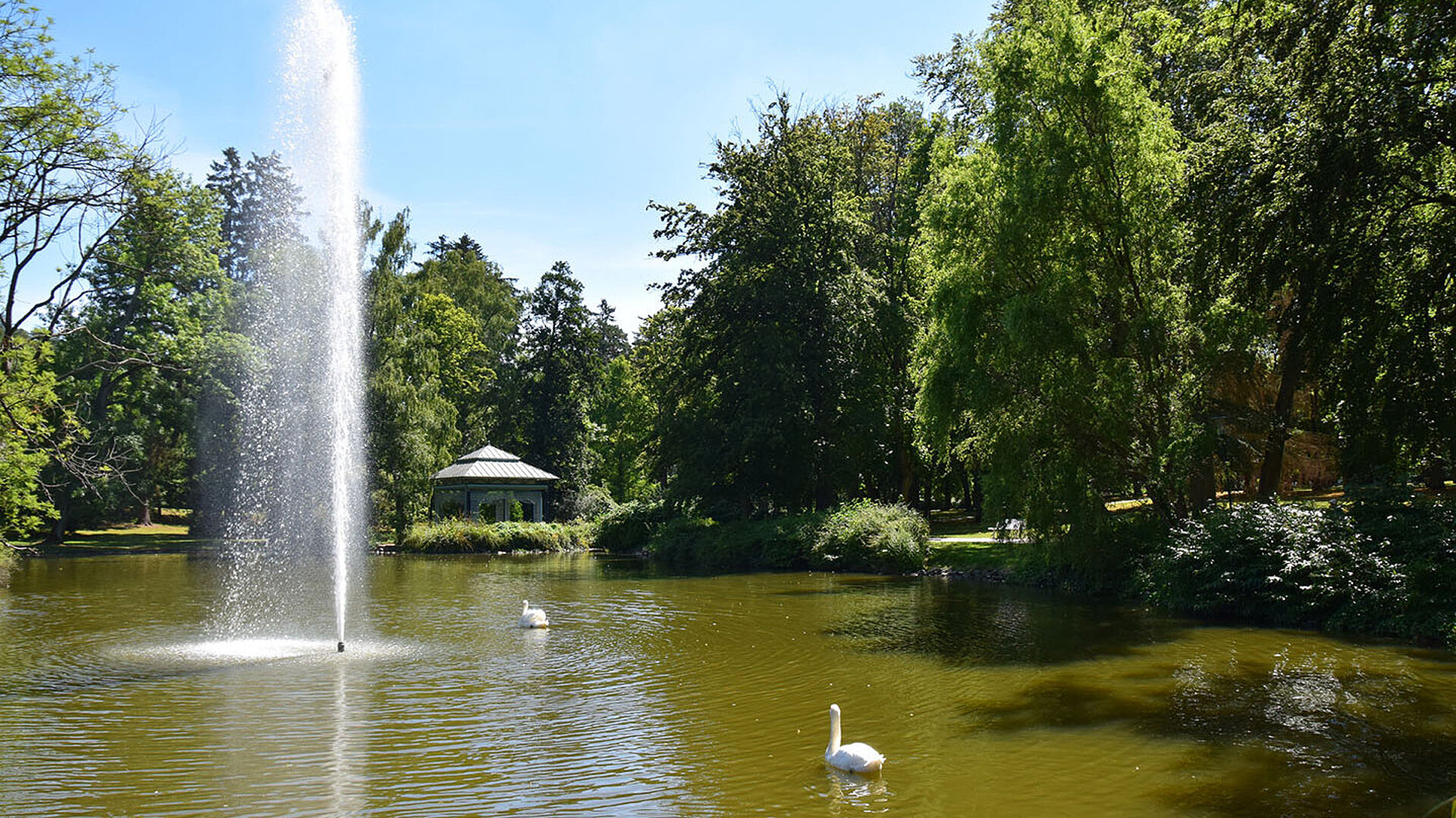 Ruhiger Park mit Springbrunnen, Teich und Schwänen unter alten Bäumen bei Sonnenschein.