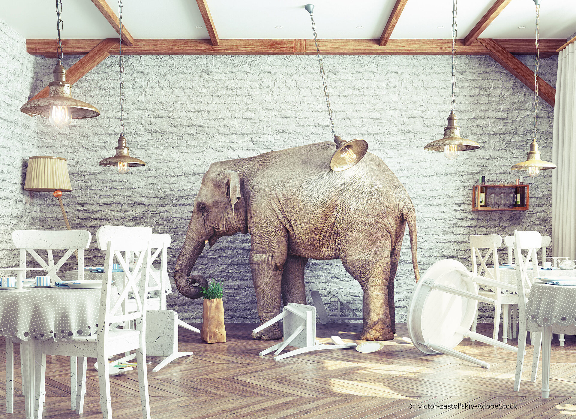 Was sind die Nachteile von Airbnbs? nachteile-airbnb