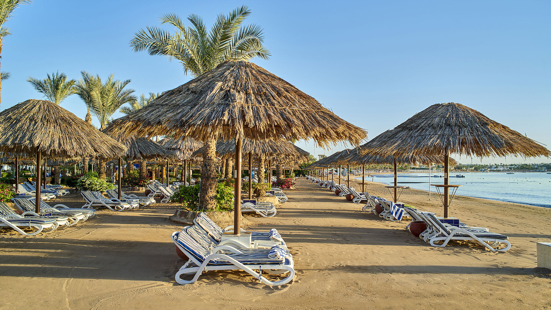 Strand Strand | Maritim Hotel Sharm El Sheikh