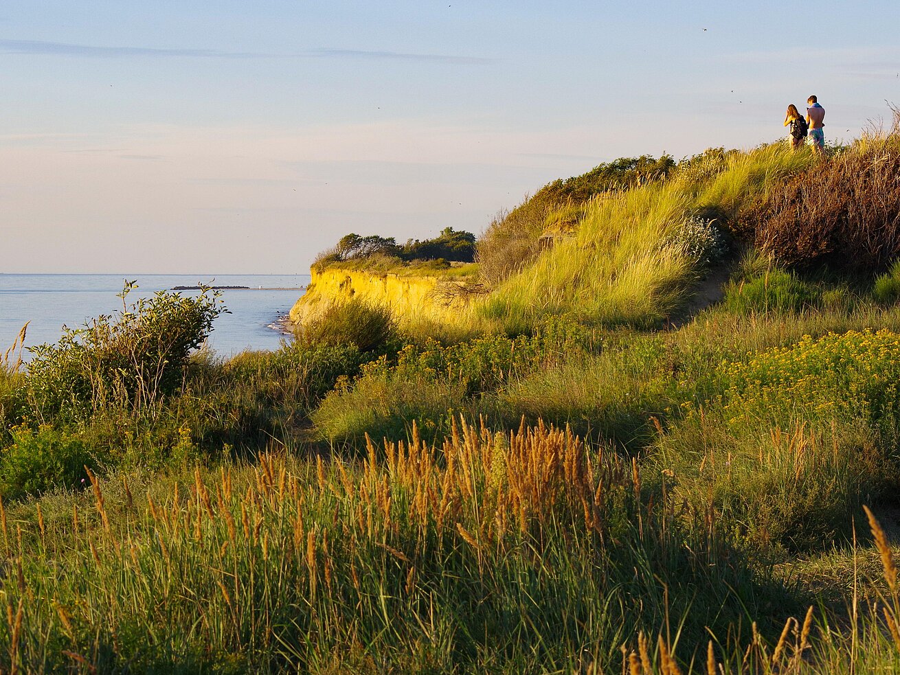 Eine grün bewachsene Steilküste am Meer im warmen Abendlicht, mit zwei Personen, die den Ausblick genießen.