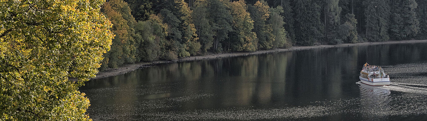 Ausblick auf den Titisee Blick auf den Titisee mit bewaldetem Ufer und herbstlicher Natur im Hochschwarzwald.