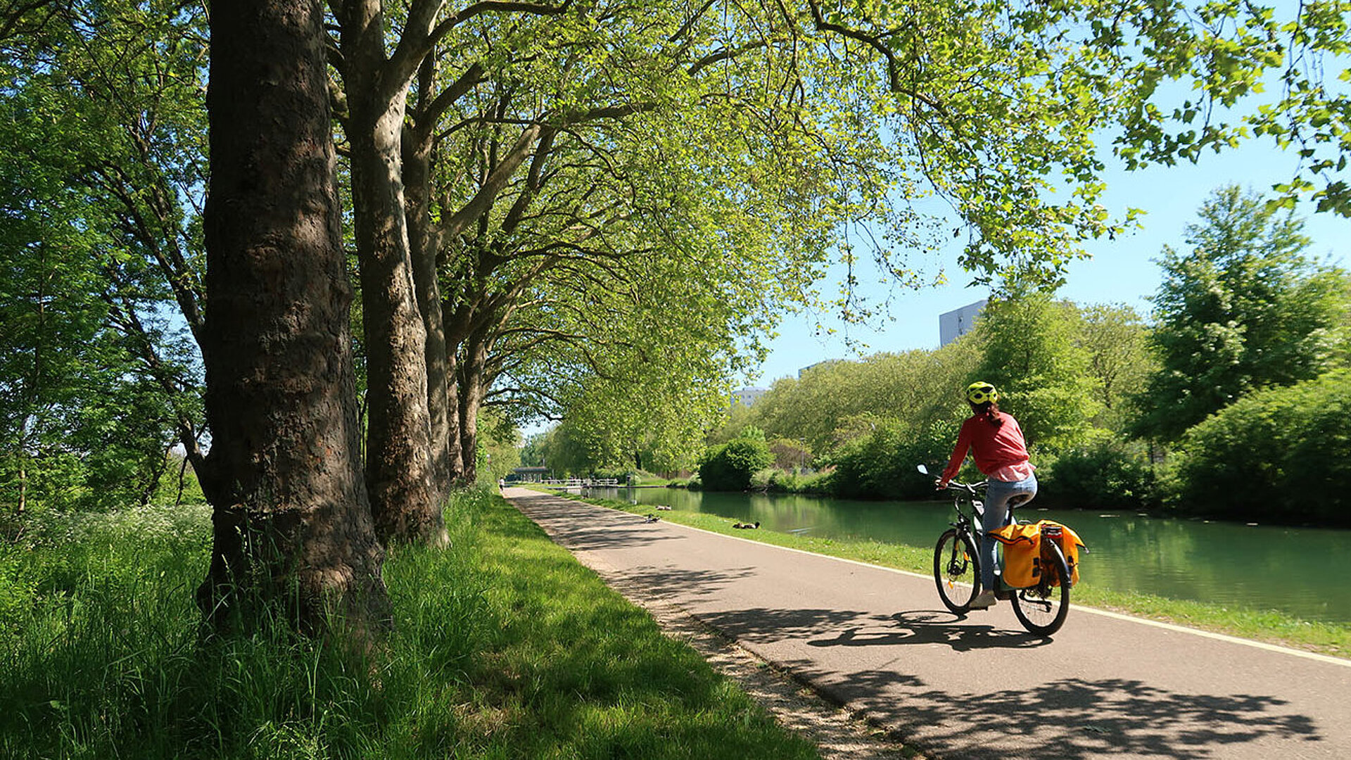 Person fährt mit Fahrrad entlang eines Flusswegs unter grünen Bäumen an einem sonnigen Tag.
