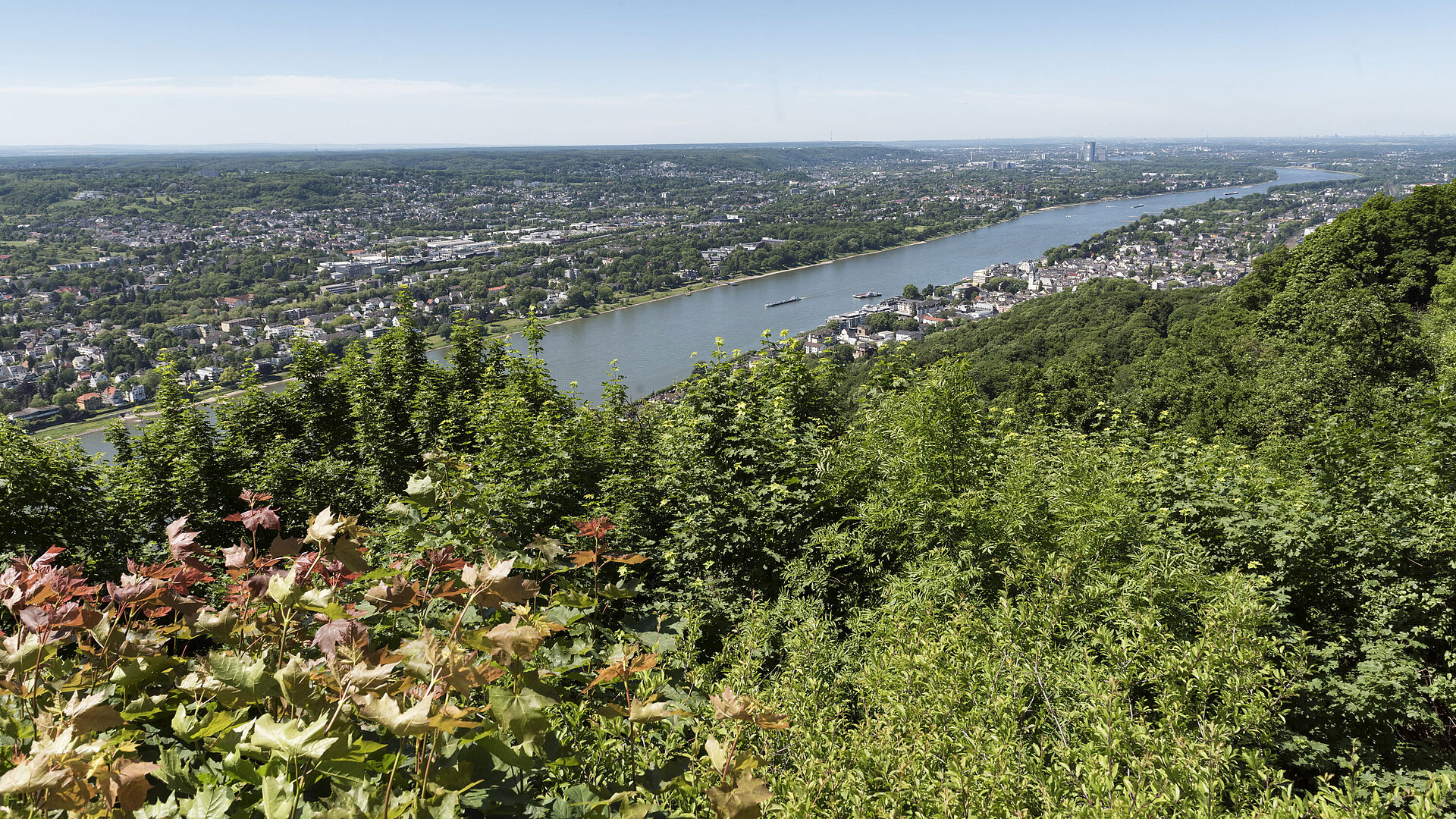 Atemberaubender Blick vom Drachenfels auf den Rhein und das Umland bei sonnigem Wetter.