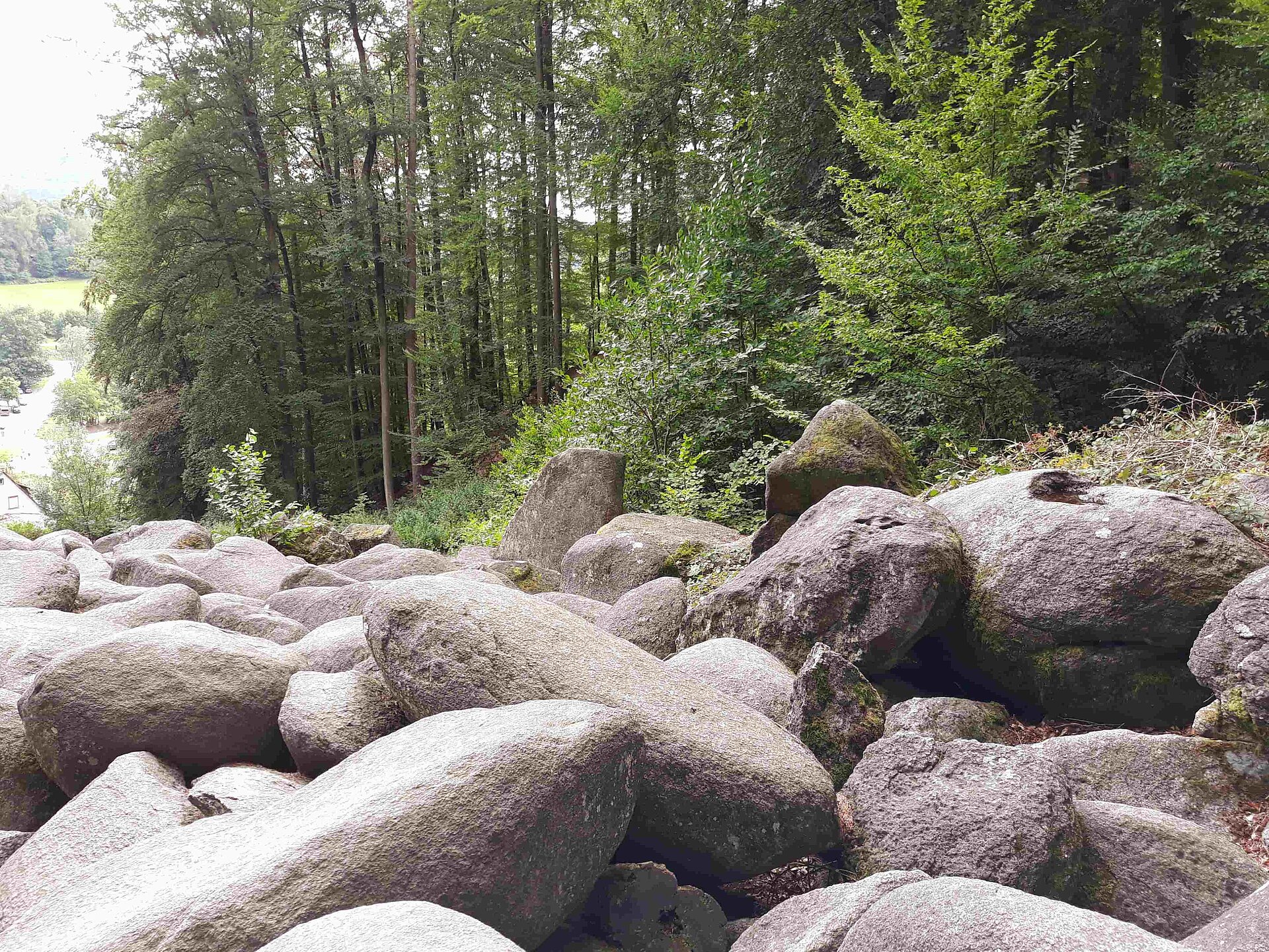 Felsenmeer im Odenwald Felsenmeer im Odenwald
