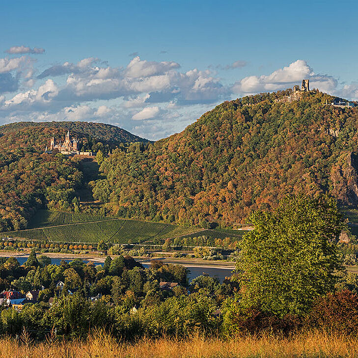 Weitblick über Königswinter, Rhein und das Siebengebirge mit Drachenfels in herbstlicher Landschaft.