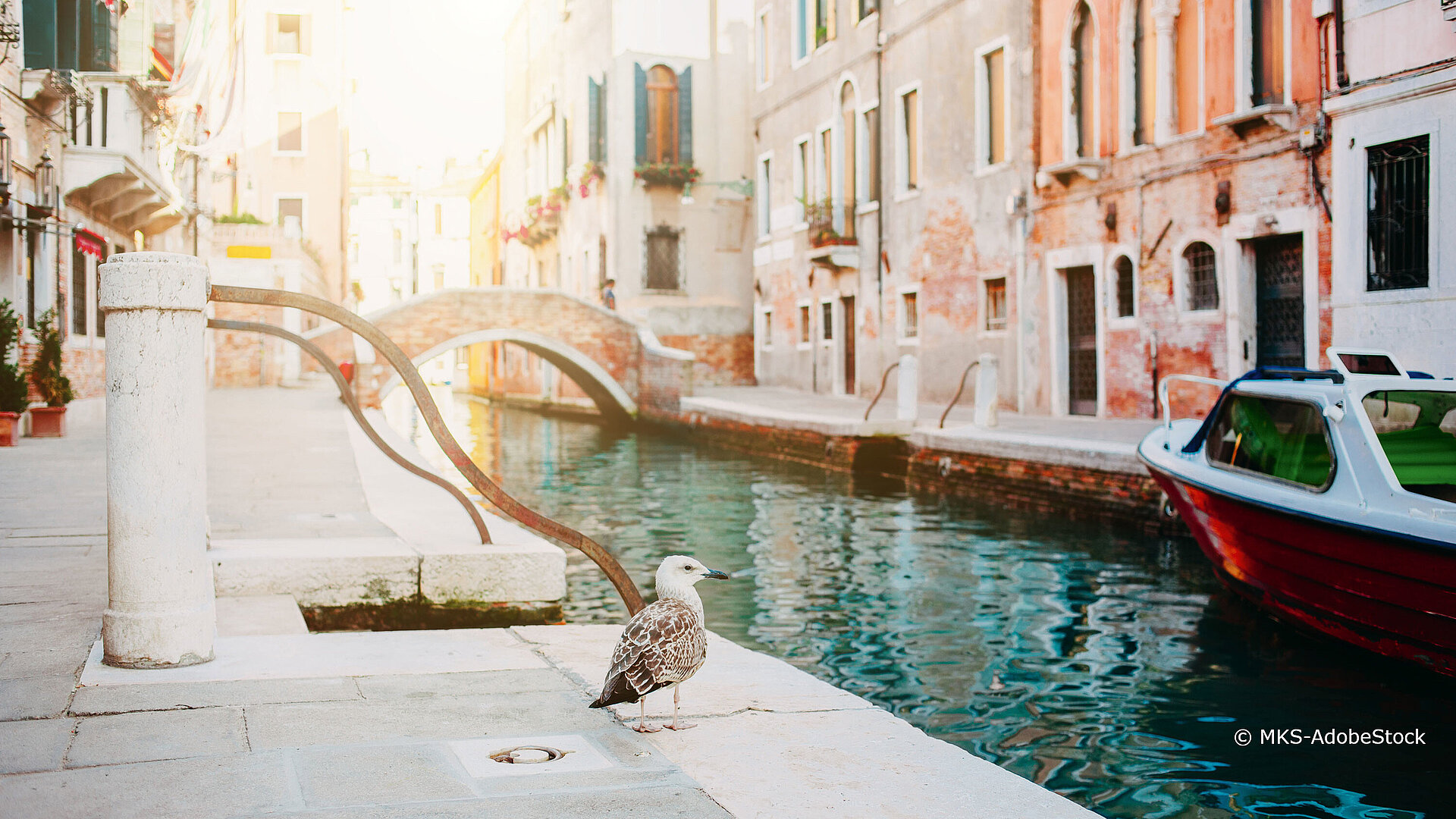 packliste-staedtetrip-kurztrip