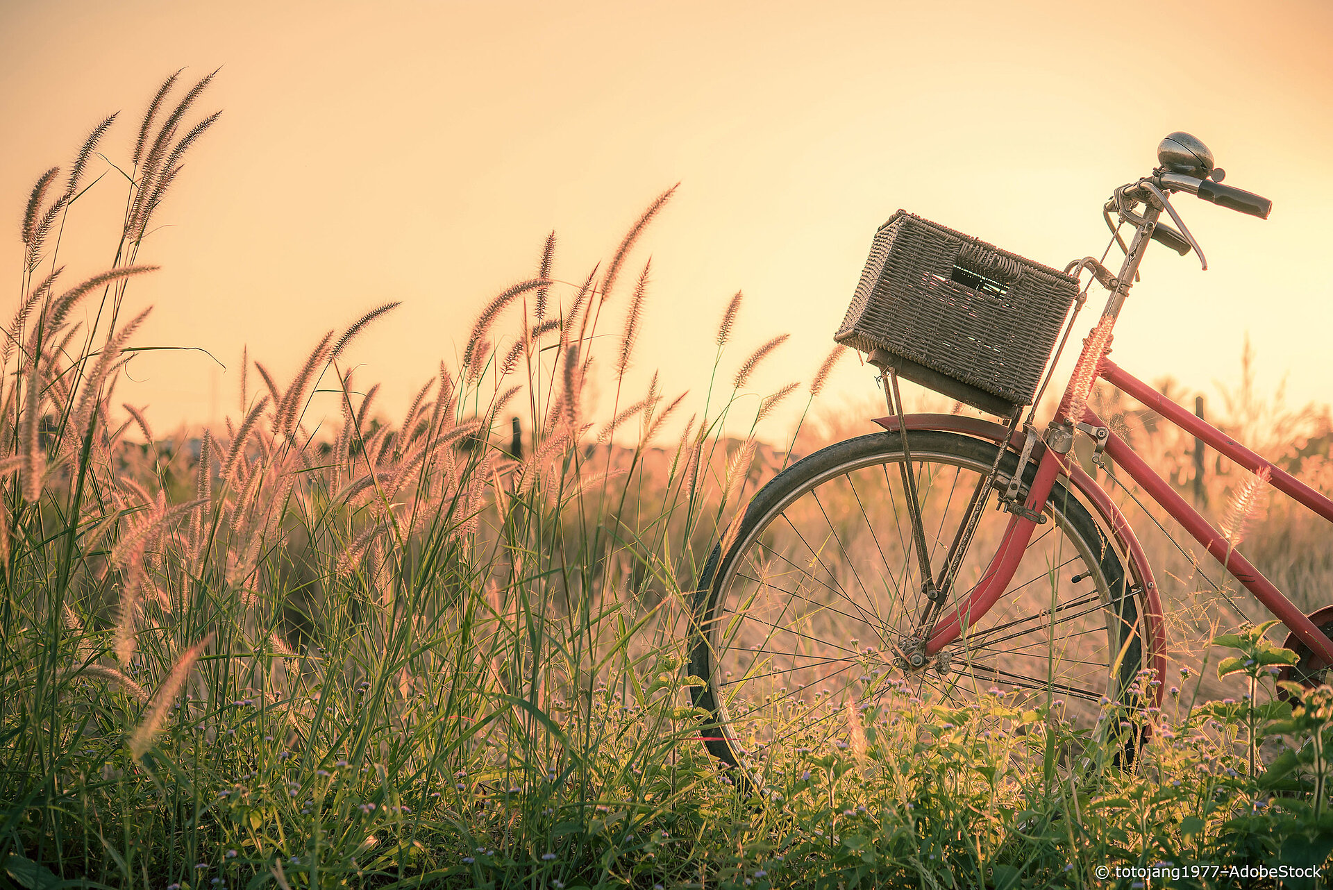 Fahrrad fahren als klimaneutrale Alternative klimaneutral-reisen-fahrrad-fahren