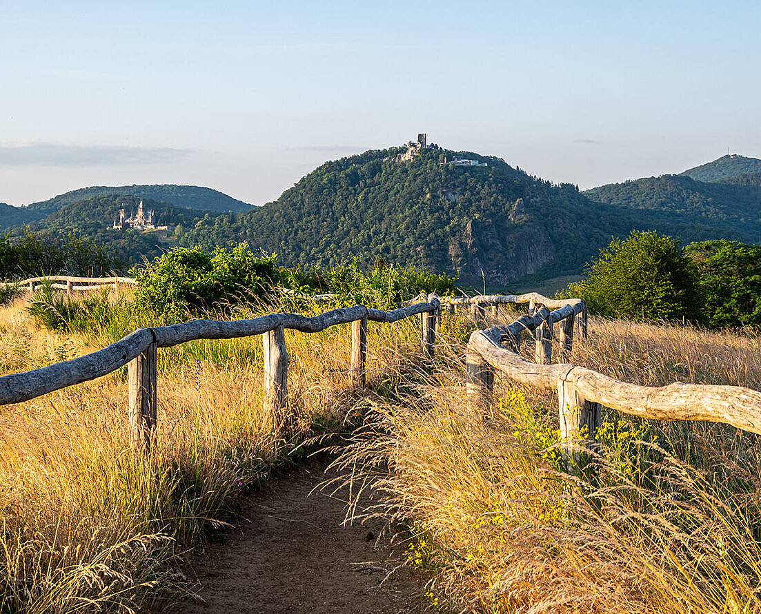 © frakala - AbobeStock.com Wanderweg im Siebengebirge bei Königswinter mit Blick auf bewaldete Hügel und die Naturlandschaft.