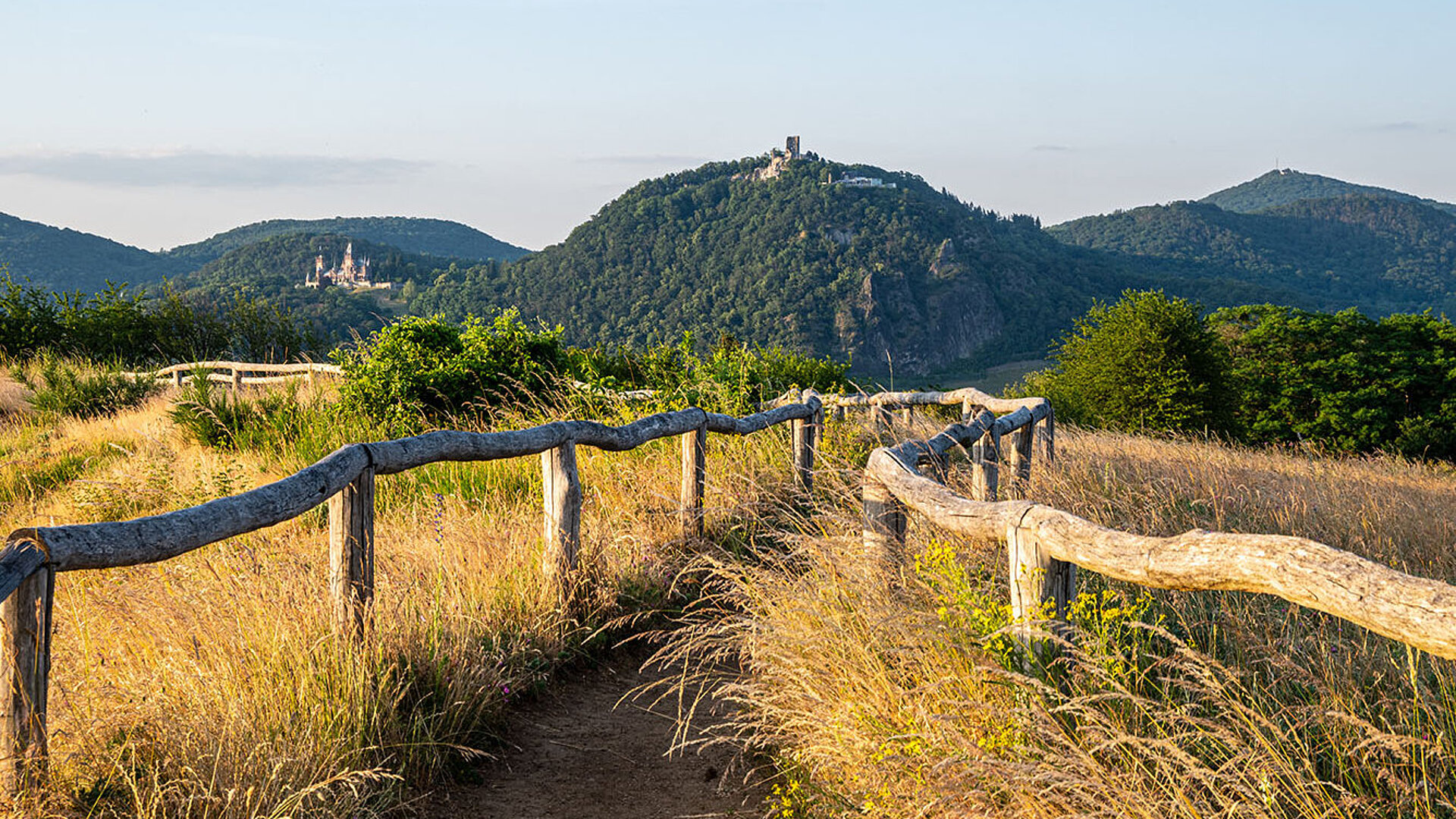 Wanderweg im Siebengebirge bei Königswinter mit Blick auf bewaldete Hügel und die Naturlandschaft.