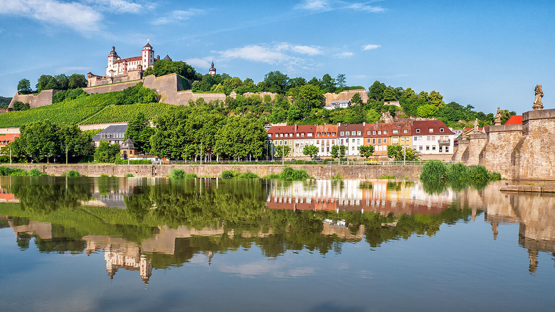 Panorama von Würzburg mit Festung Marienberg, Weinbergen und Spiegelung im Main.