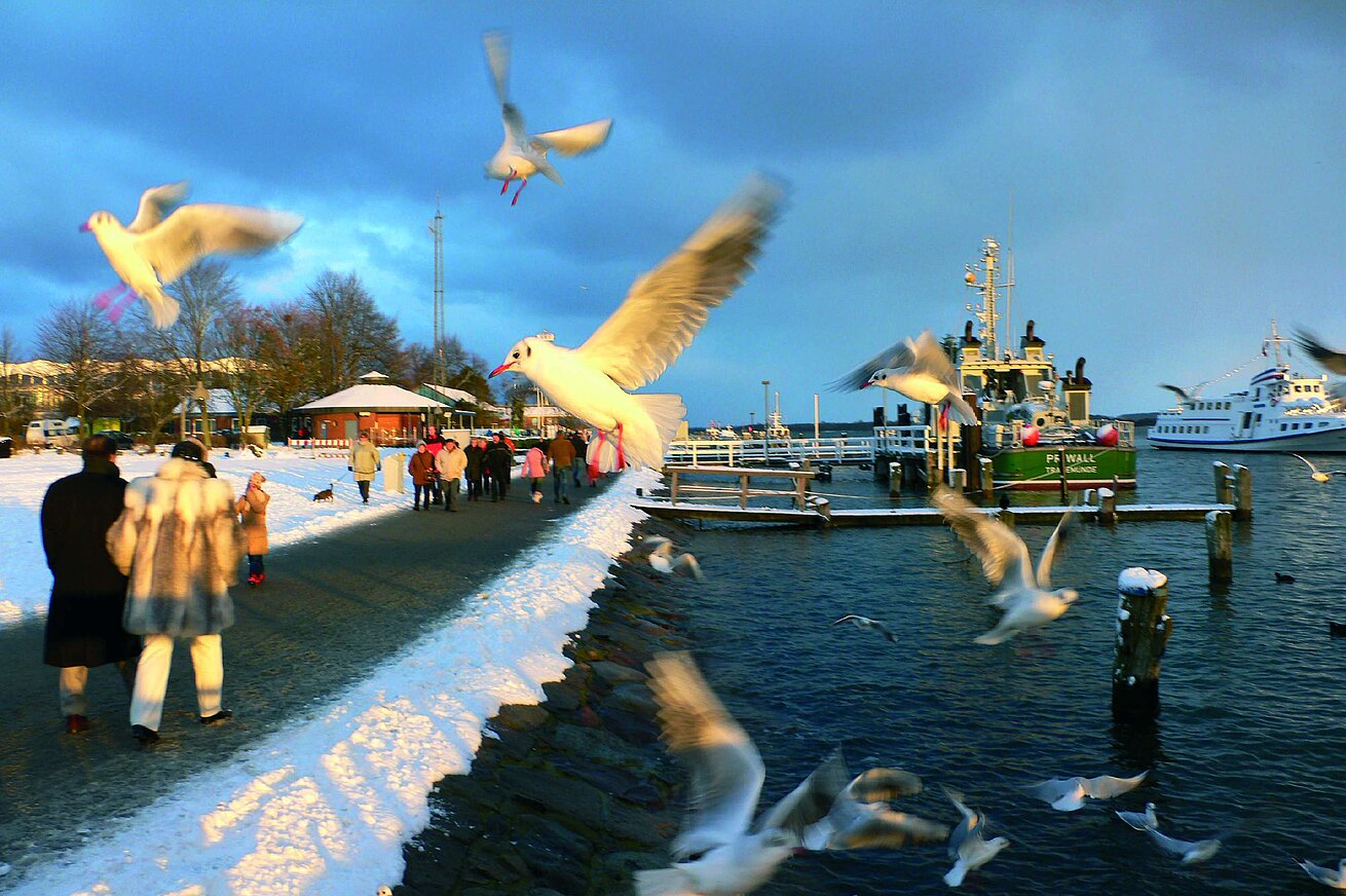 Winterlicher Spazierweg mit Möwen und Blick auf den Hafen von Travemünde nahe dem Maritim Hotel