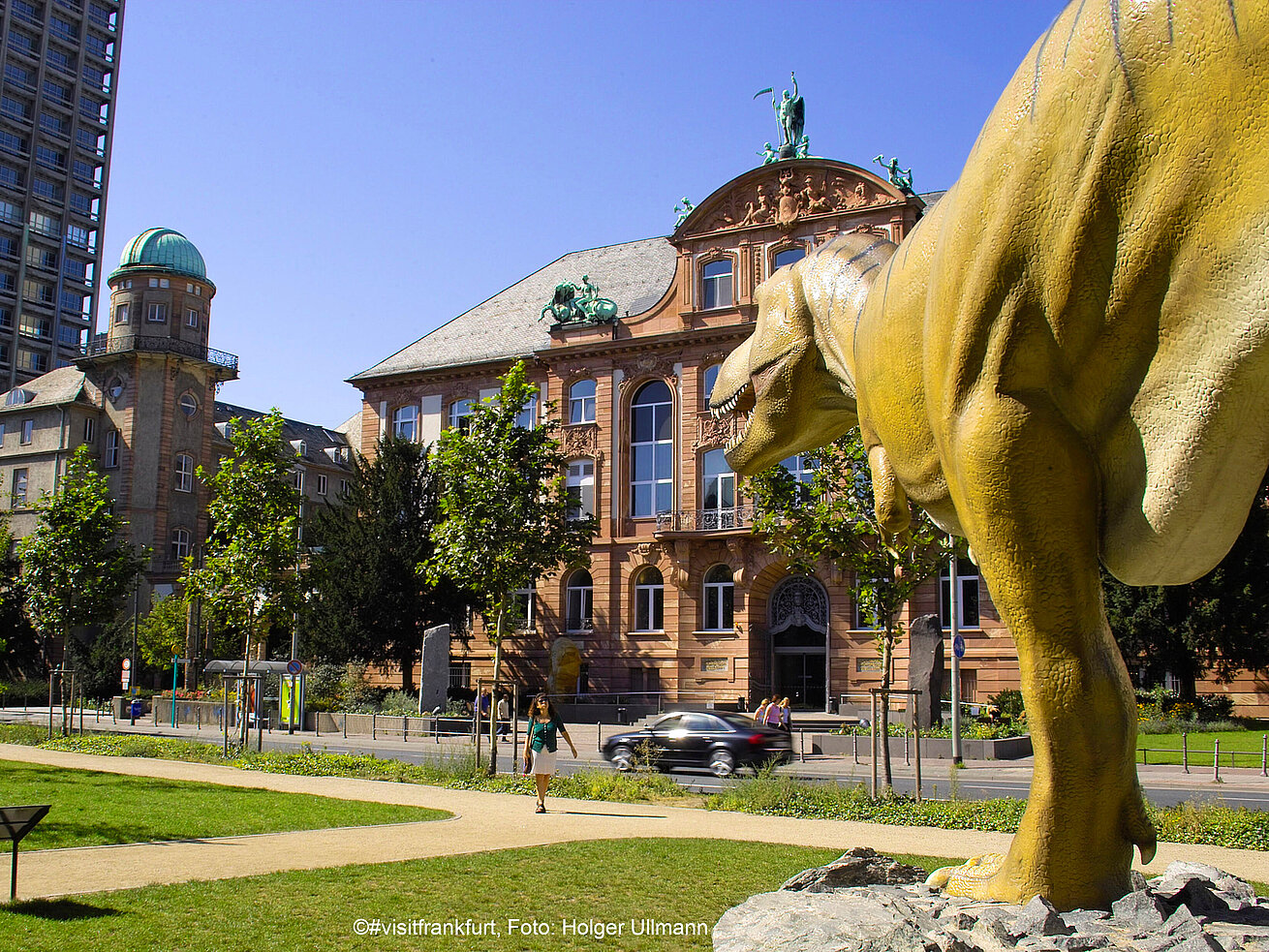 Senckenberg Naturmuseum 