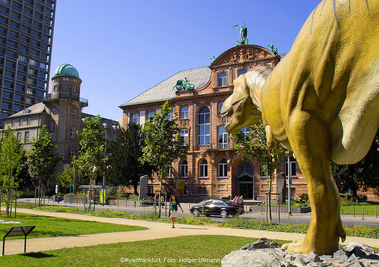 Senckenberg Naturmuseum Senckenberg Naturmuseum
