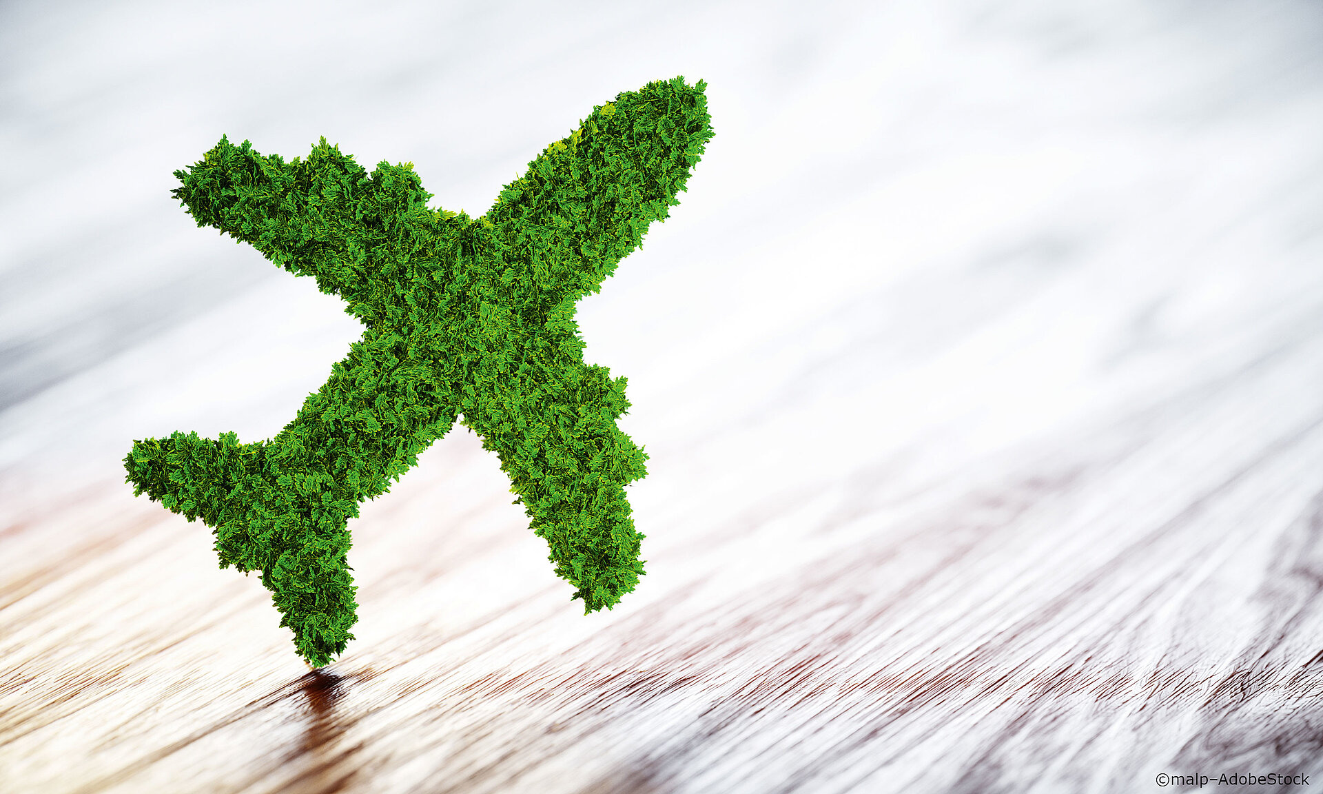 Flugkompensation und Inlandsflüge klimaneutral-reisen-flugkompensation
