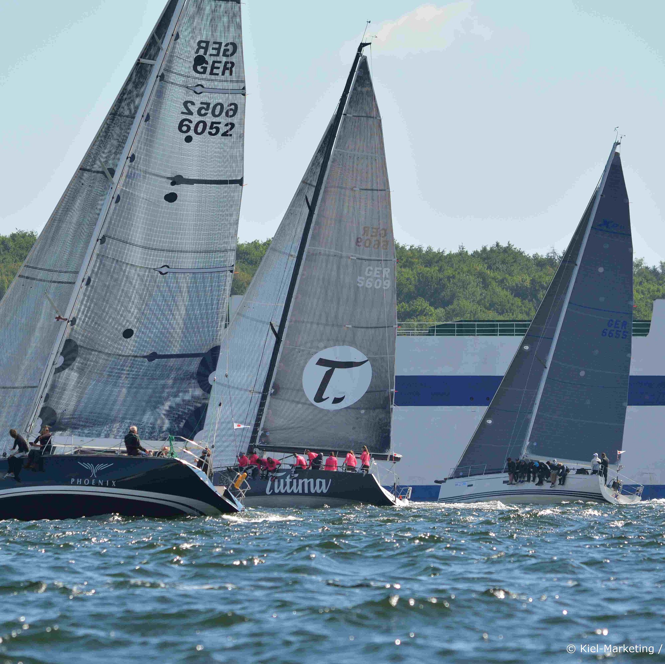 Segelregatta mit mehreren Segelyachten auf der Ostsee bei sonnigem Wetter