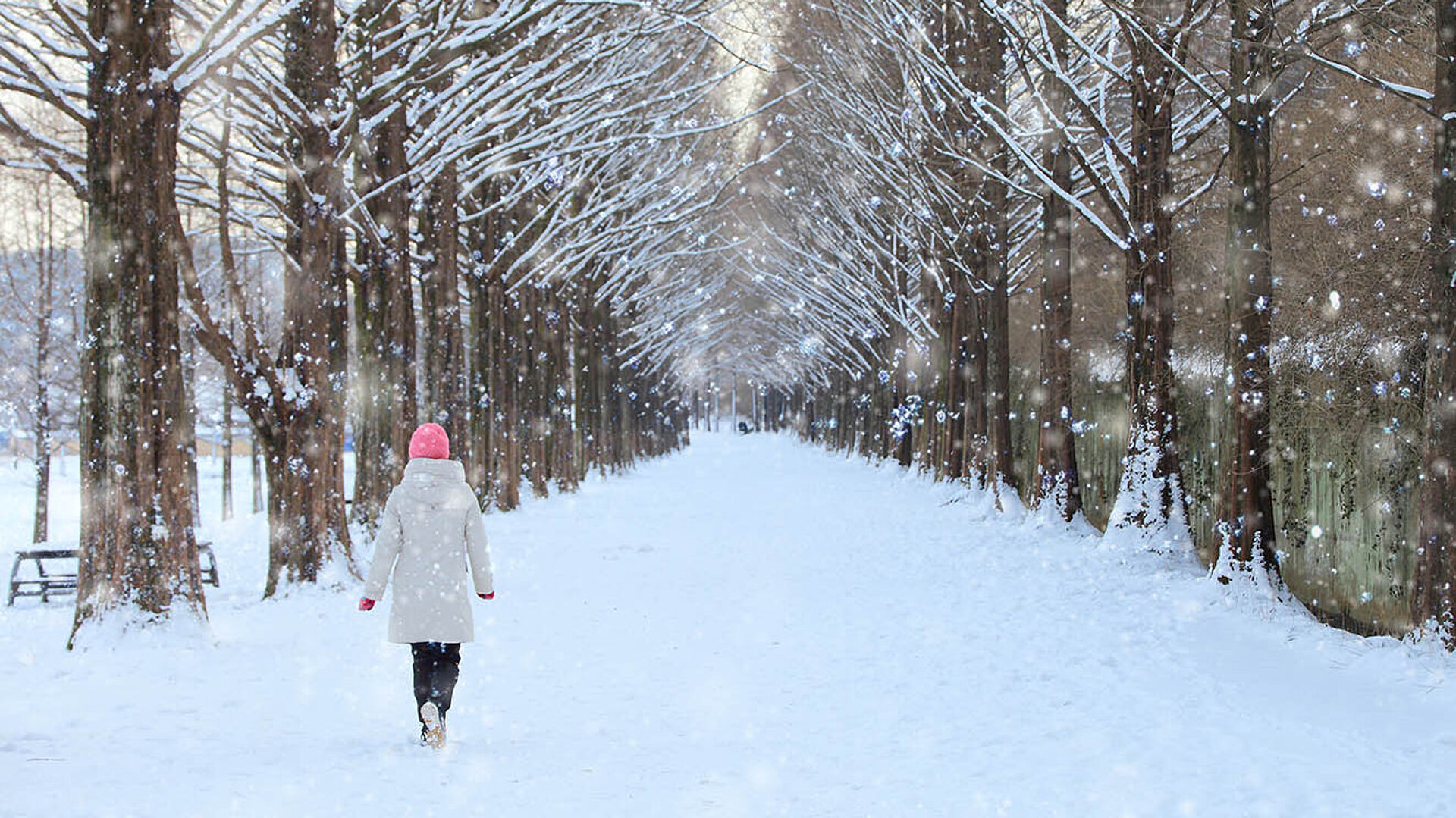Person spaziert eine verschneite Allee entlang, umgeben von winterlichen Bäumen und sanft fallendem Schnee.