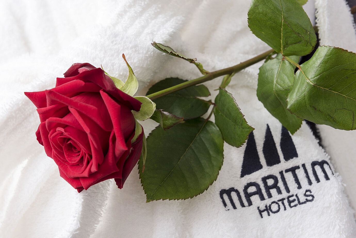 Willkommen im Maritim Hotel