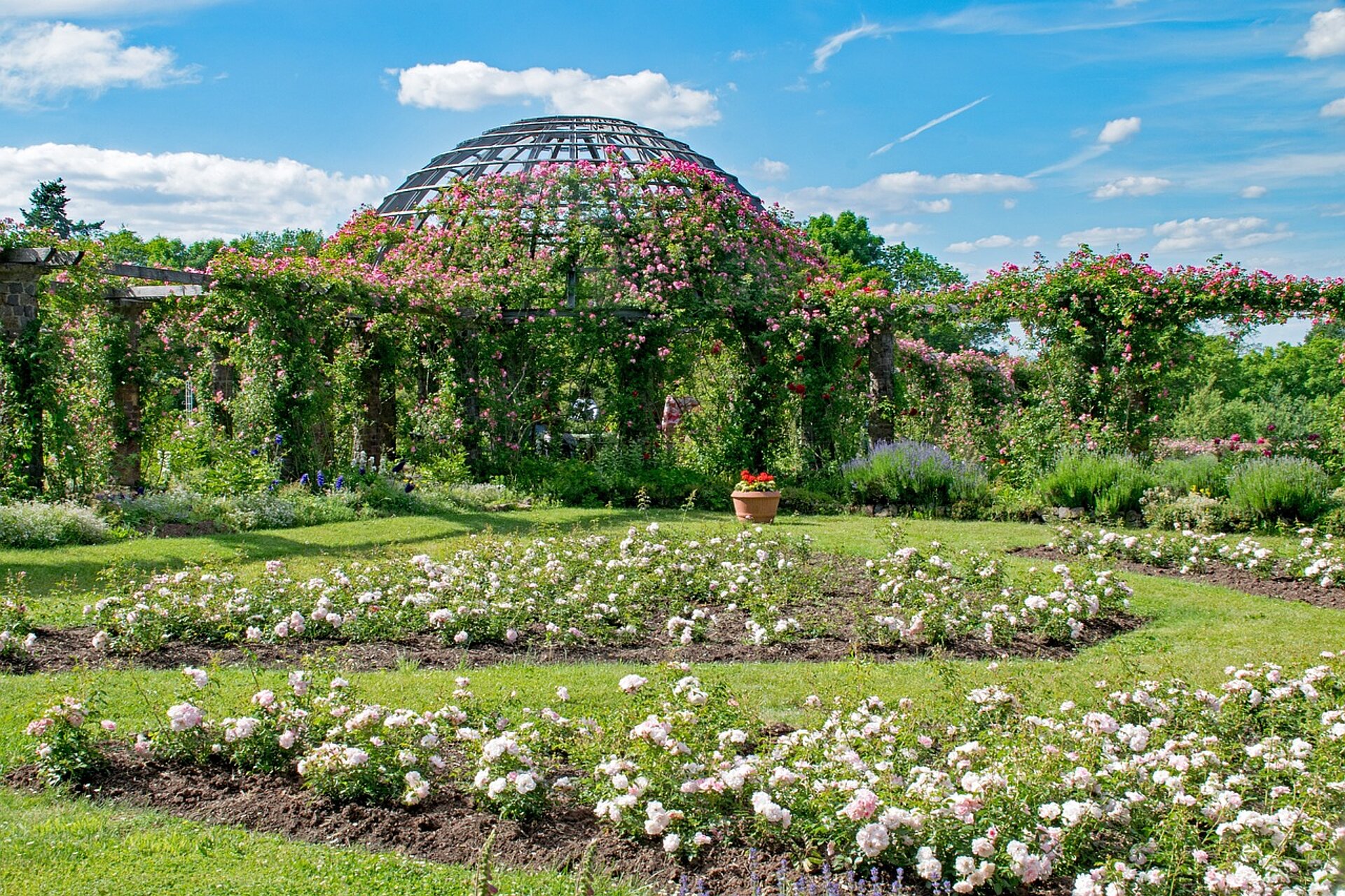 Rosenhöhe Rosenhöhe Darmstadt