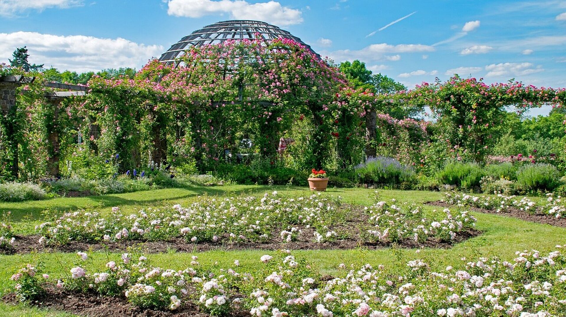 Rosenhöhe Rosenhöhe Darmstadt