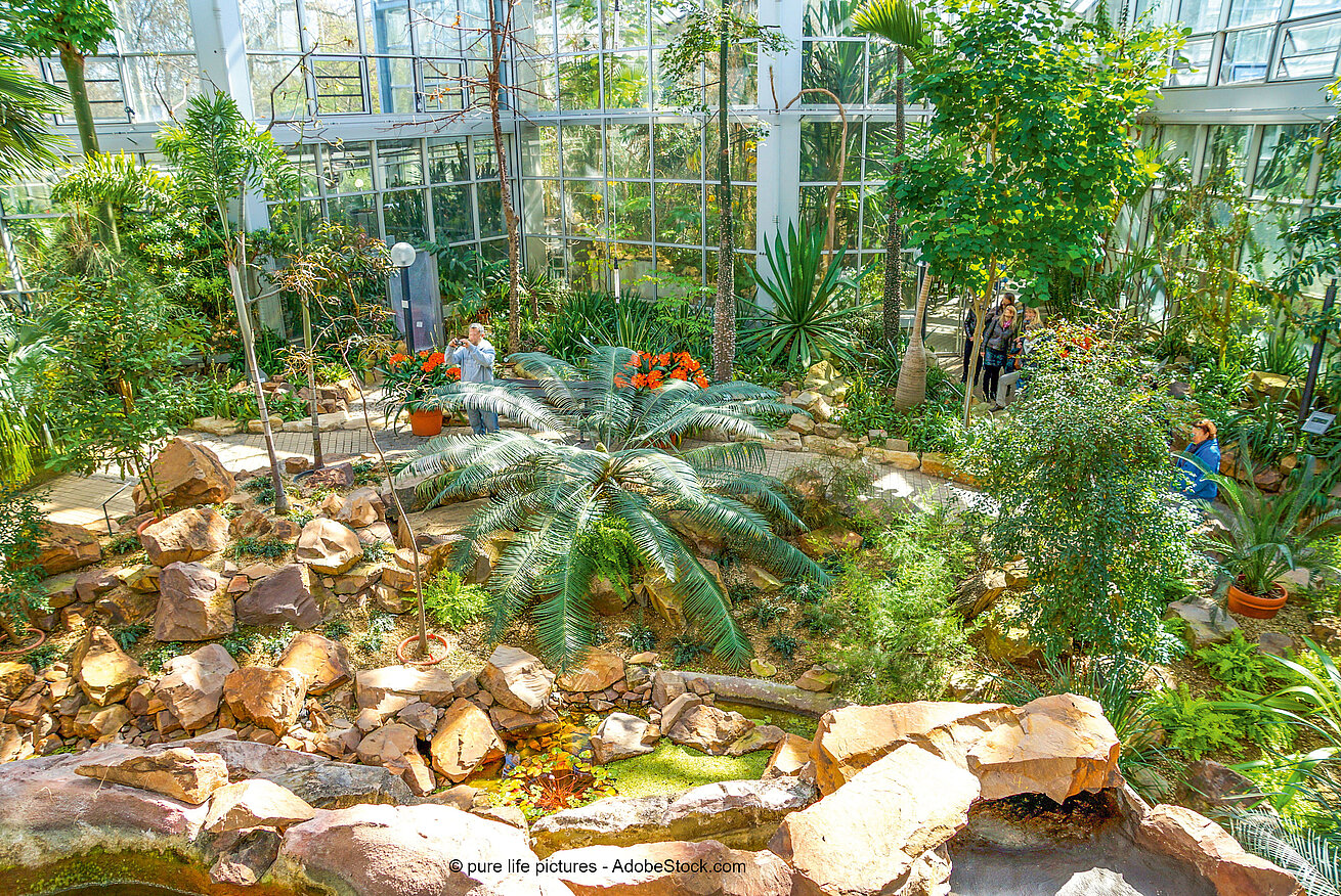 Palmengarten Palmengarten