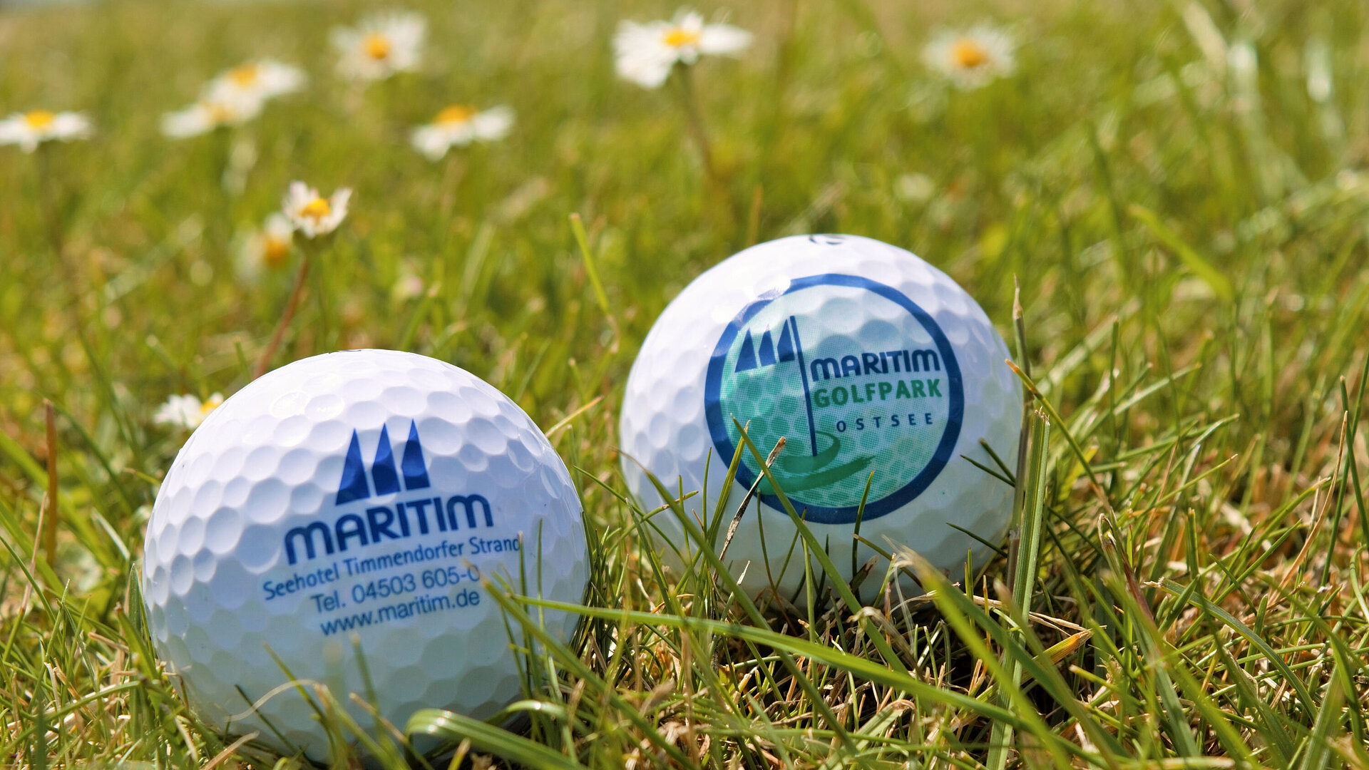 Golfbälle mit Maritim Logo auf einer Wiese zwischen Gänseblümchen auf dem Golfplatz