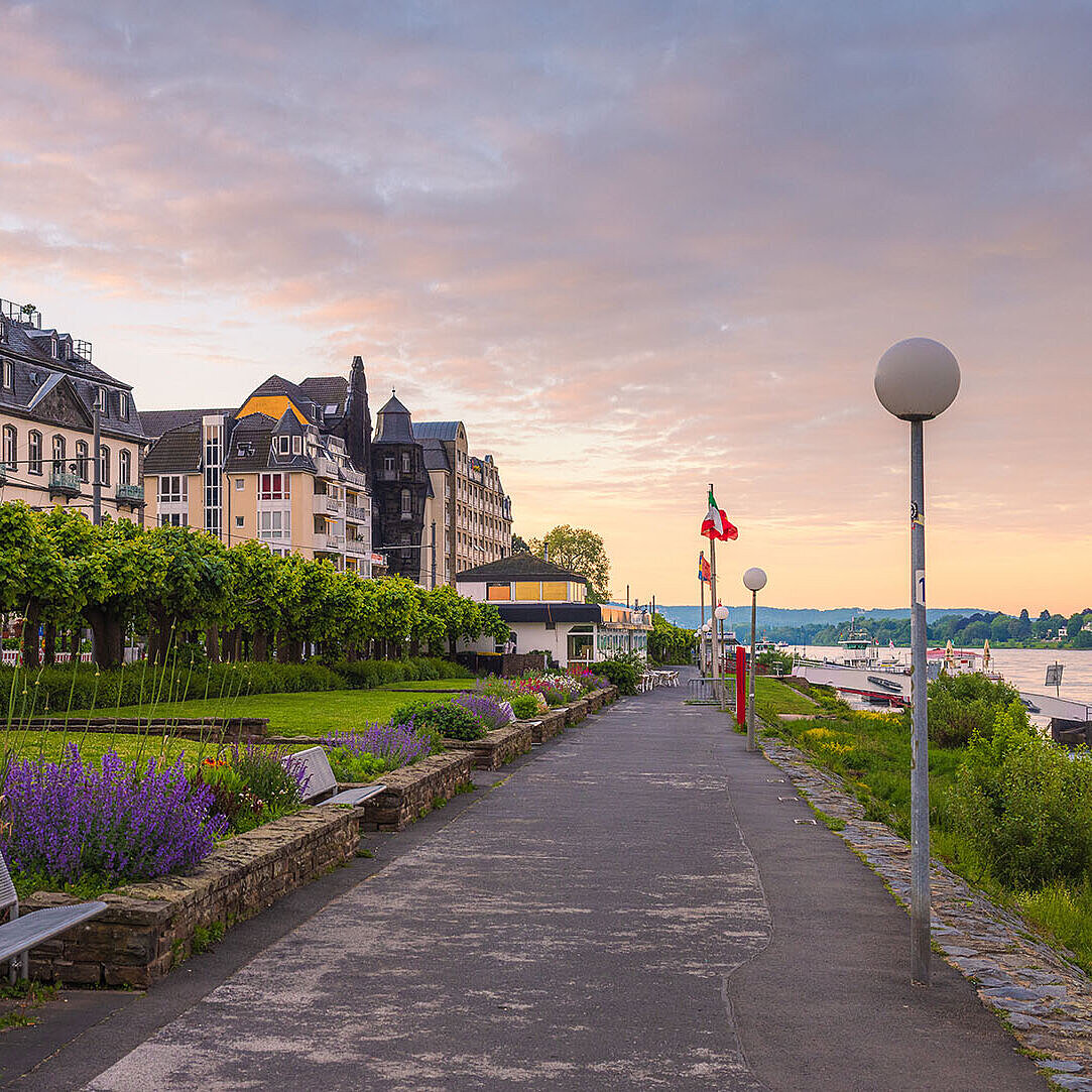 © lic0001 - Adobestock.com Rheinpromenade in Königswinter mit Blumenbeeten, Spazierweg und Blick auf den Rhein bei Abendstimmung.