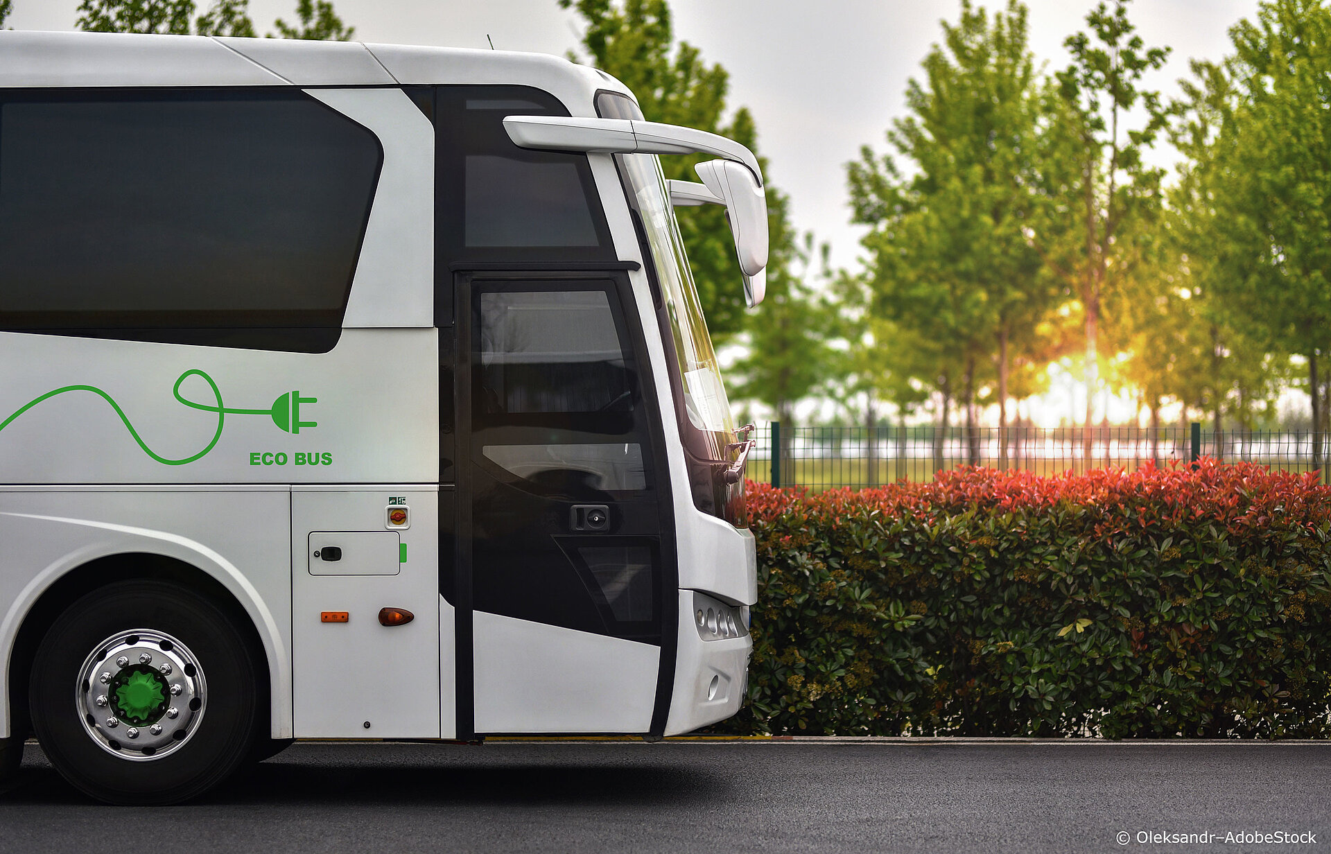 Bus läuft mit Ökostrom klimaneutral-reisen-eco-bus