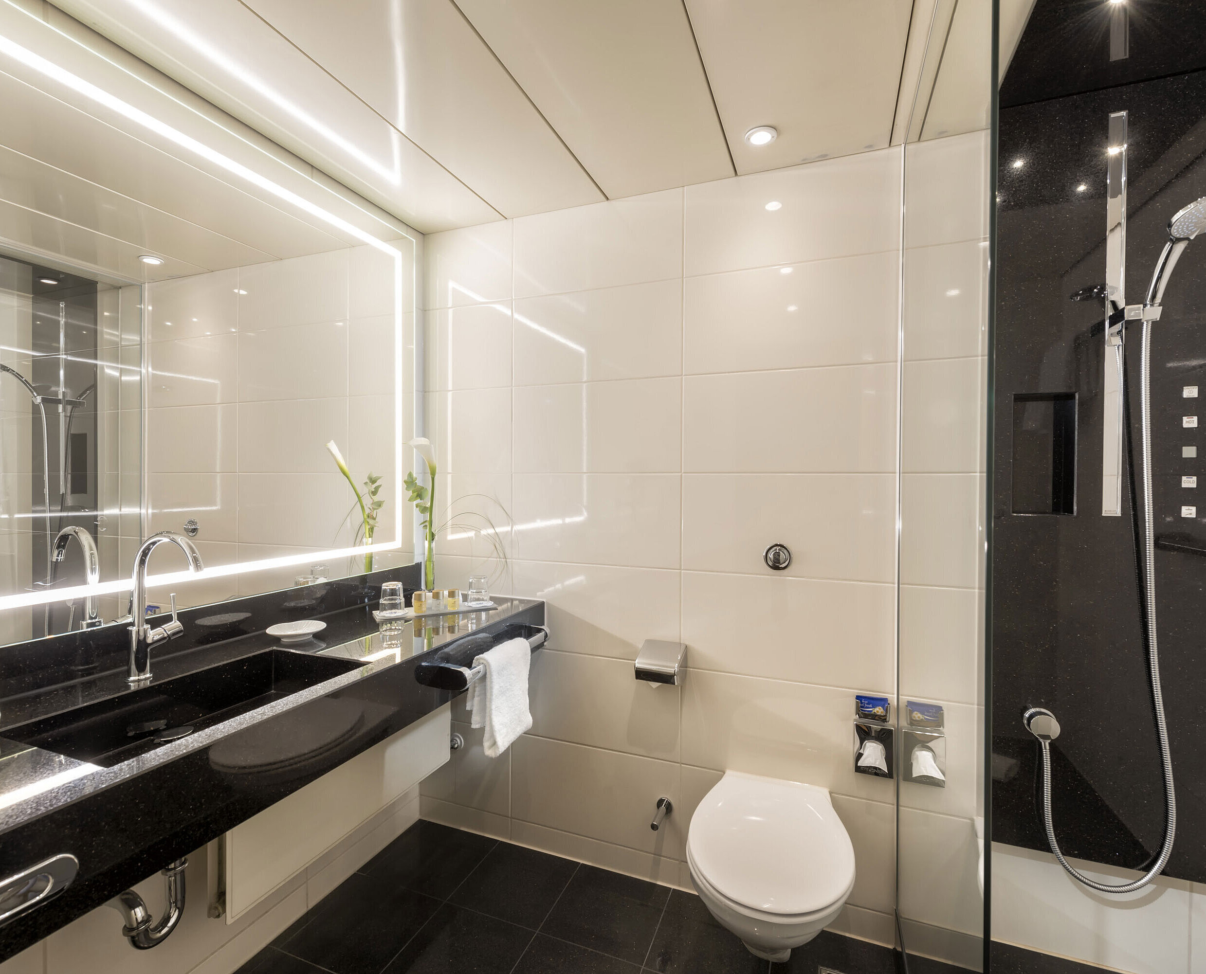 Badezimmer mit Dusche Modernes Badezimmer mit geräumiger Dusche, elegantem Waschbecken und hochwertigen Pflegeprodukten im Maritim Hotel Bonn.