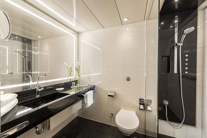 Modernes Badezimmer mit geräumiger Dusche, elegantem Waschbecken und hochwertigen Pflegeprodukten im Maritim Hotel Bonn.
