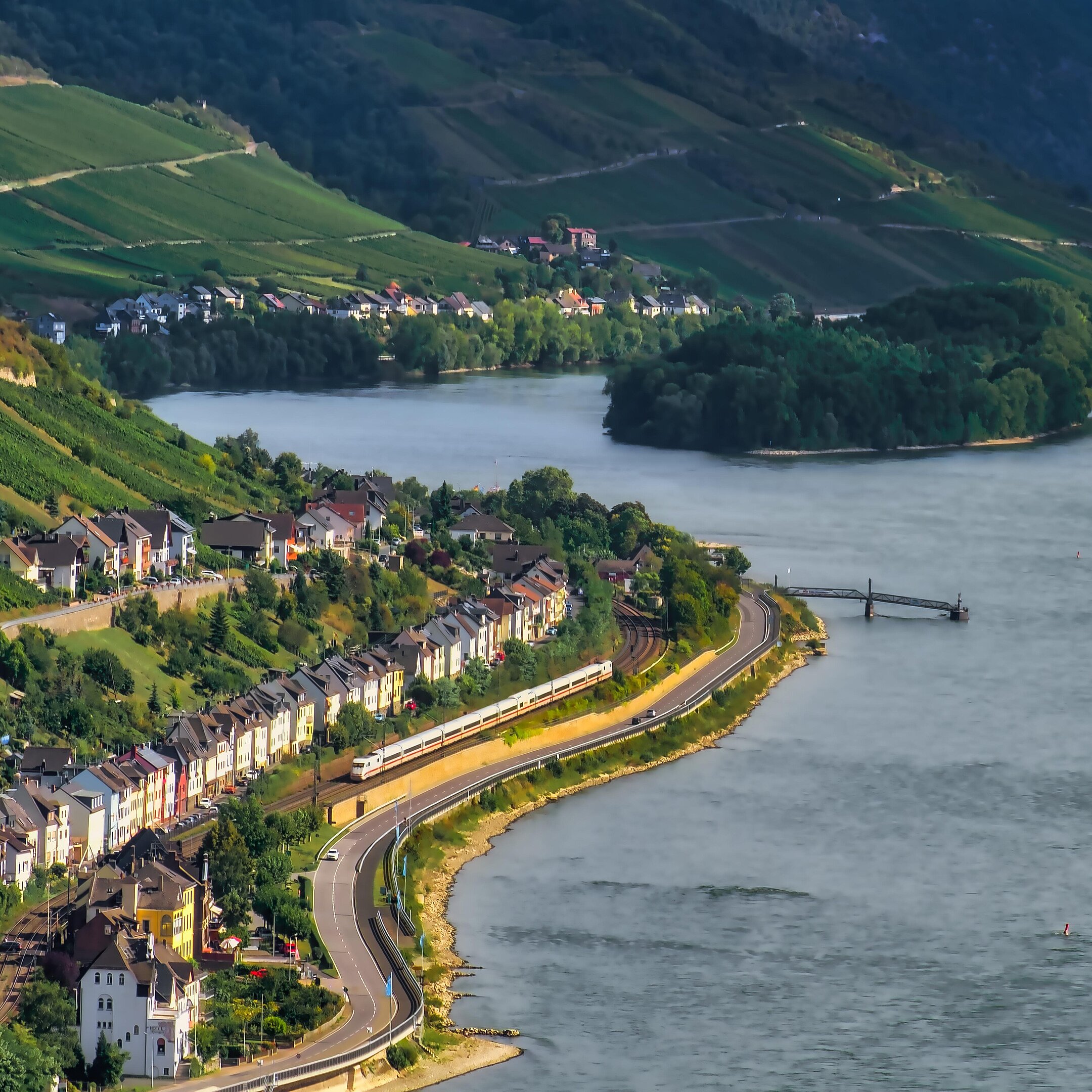 Panorama des Rheintals mit Rhein, Weinbergen und Ortschaften entlang des Flussufers.