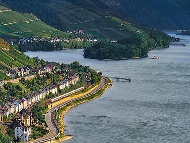 Panorama des Rheintals mit Rhein, Weinbergen und Ortschaften entlang des Flussufers.