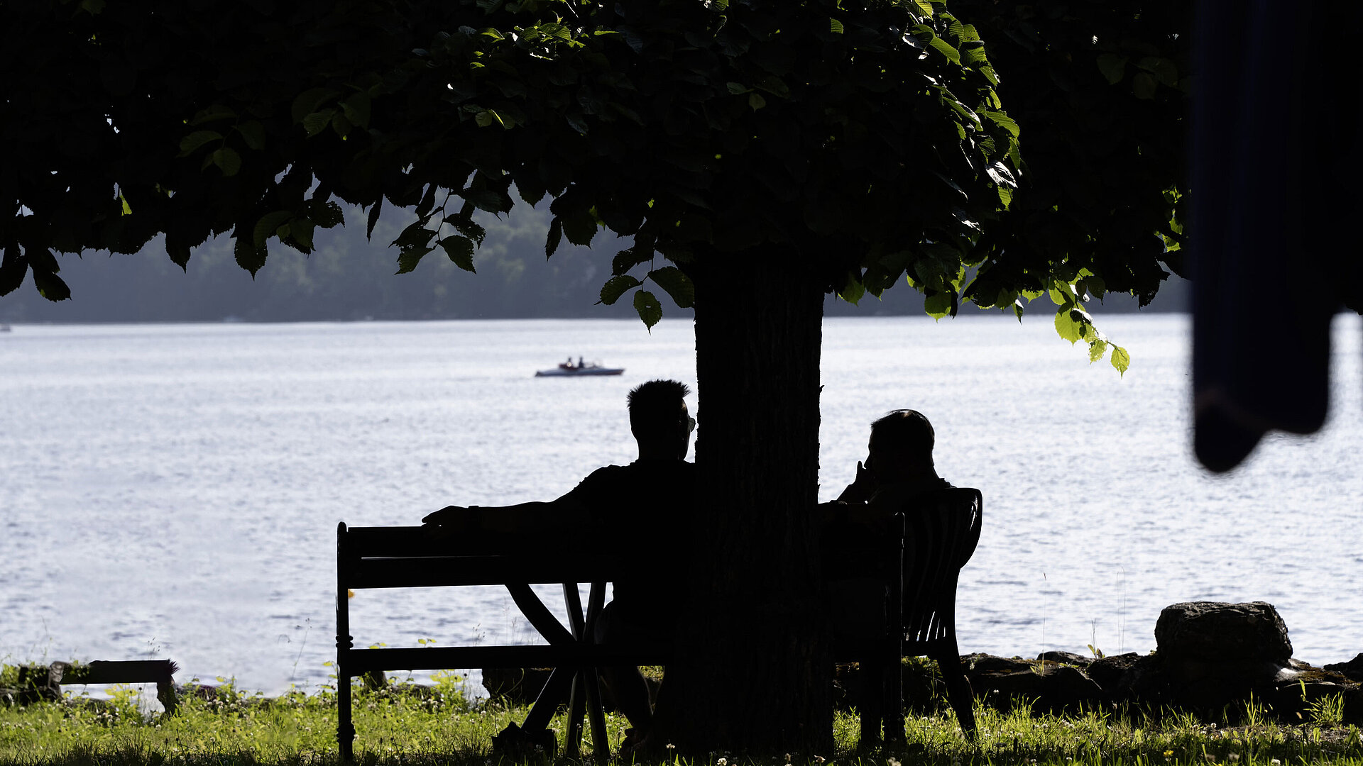 Zwei Personen sitzen entspannt unter einem Baum am Ufer des Titisees im Schatten