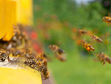 © Vera Kuttelvaserova - AdobeStock.com © Vera Kuttelvaserova - AdobeStock.com