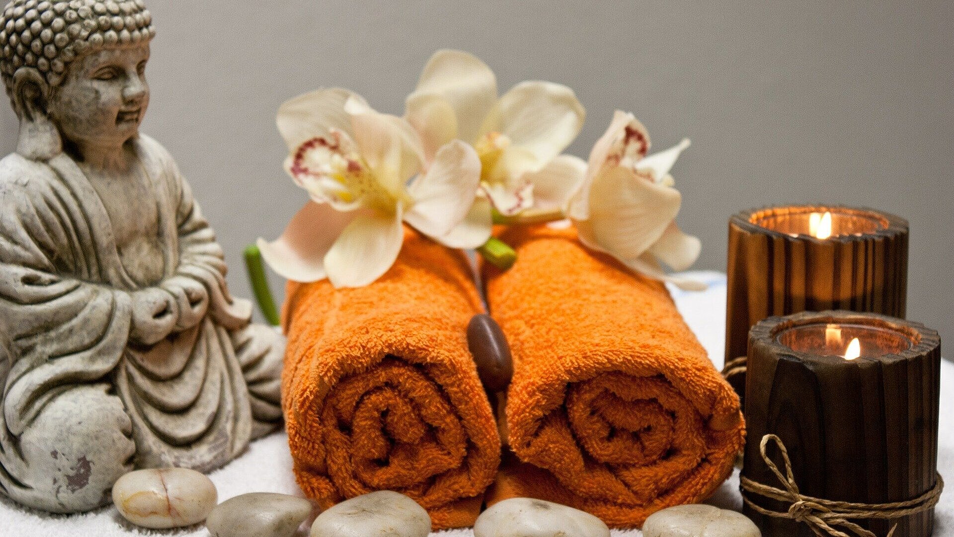 Wellness Wellness