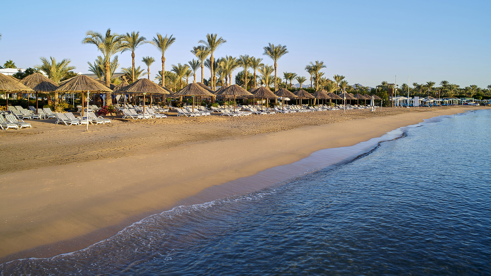 Strand | Maritim Hotel Sharm El Sheikh