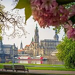 Dresden im Frühling